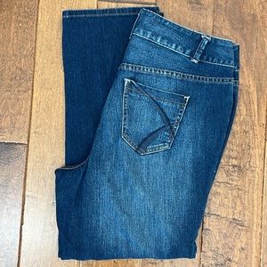 Lane Bryant Straight Leg Jeans Size 16P
